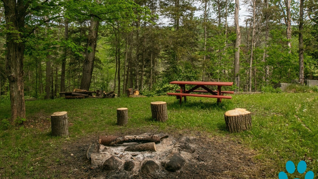 Photo of Outdoor in Prattsburgh