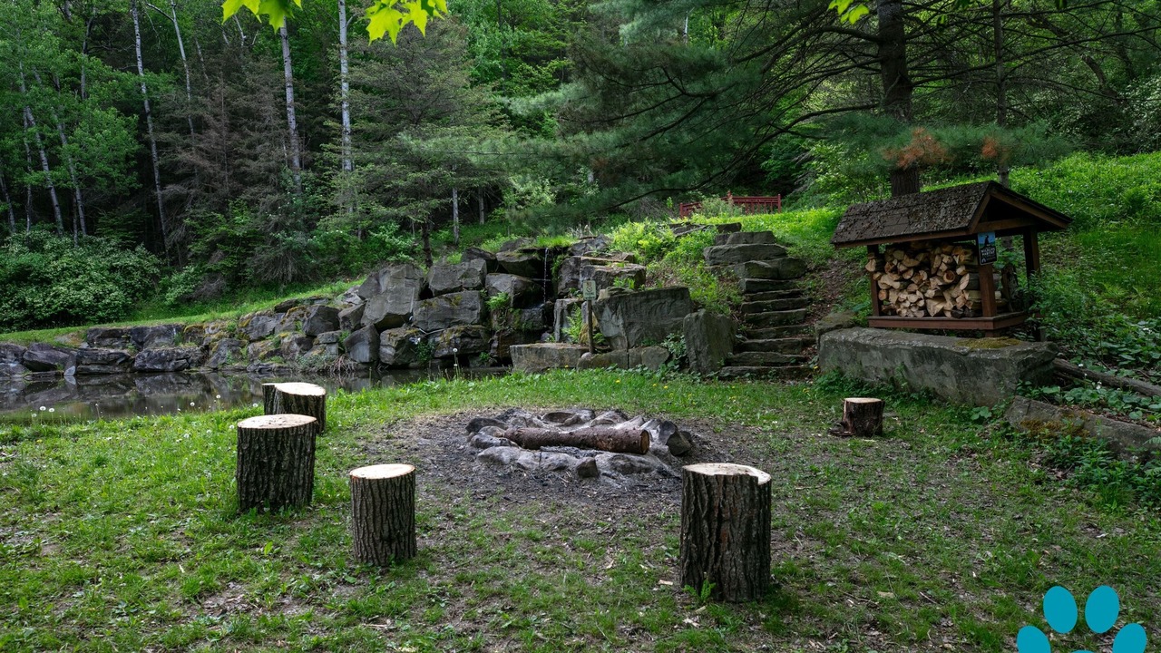 Photo of Outdoor in Prattsburgh
