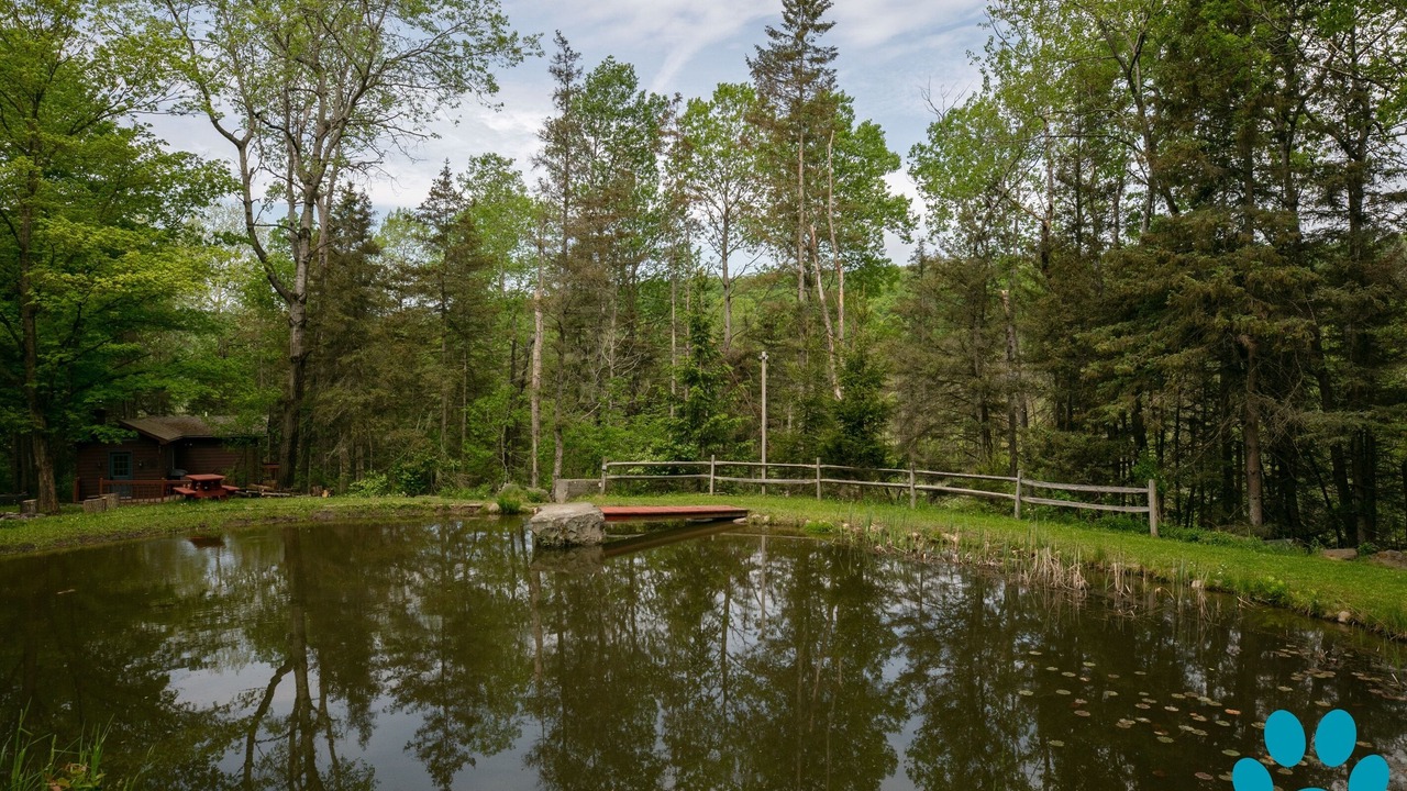 Photo of Outdoor in Prattsburgh