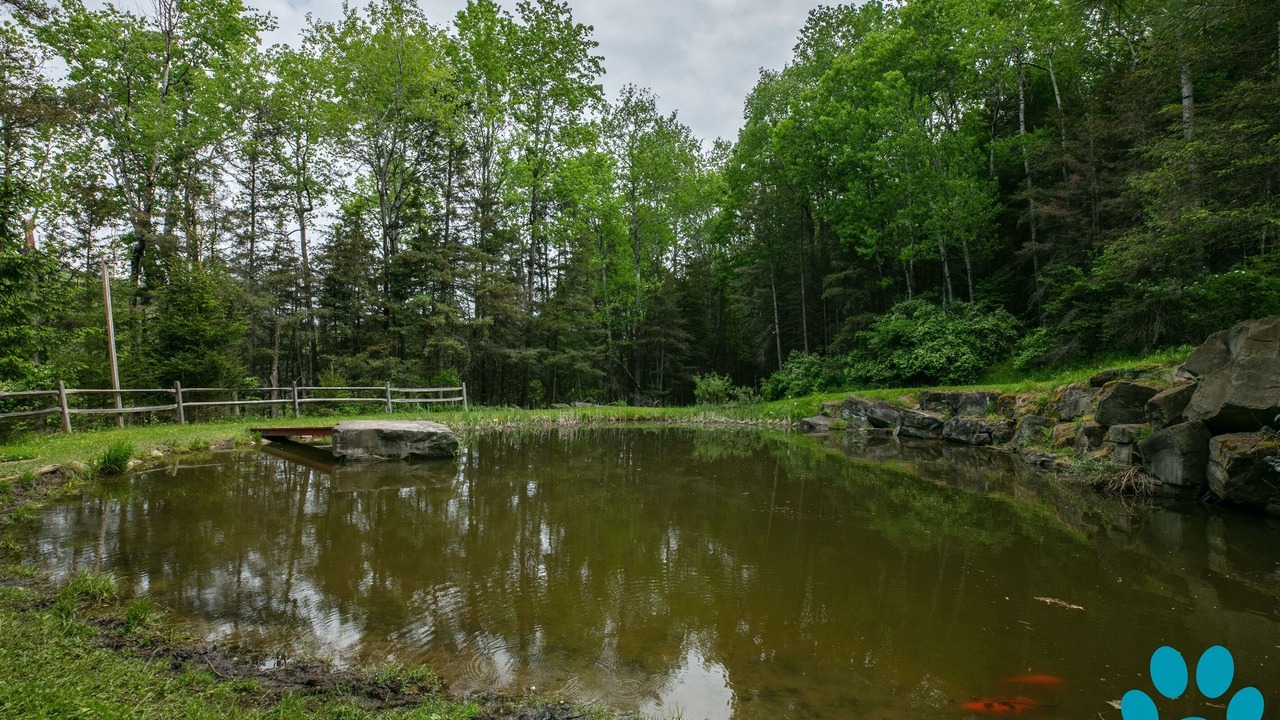Photo of Outdoor in Prattsburgh