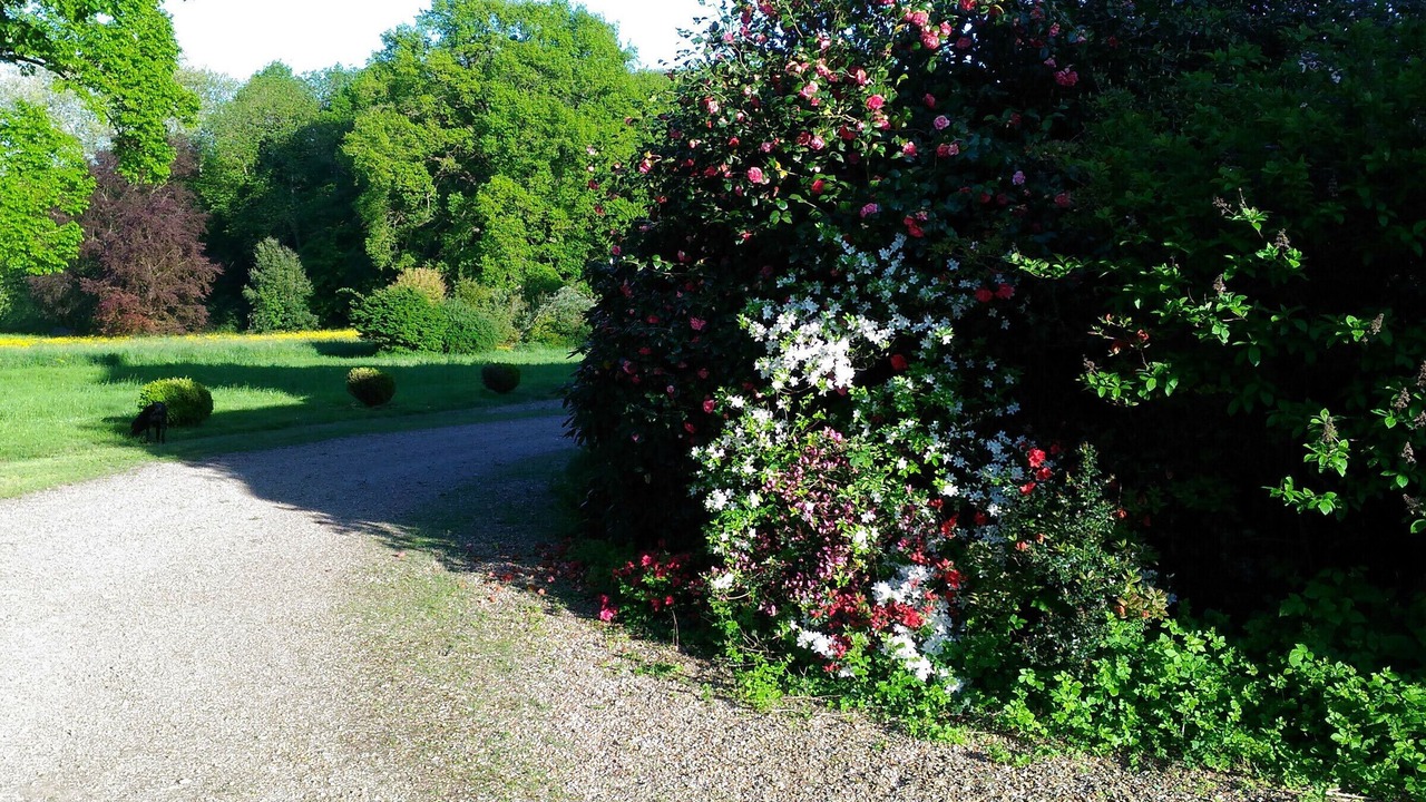 Photo of Outdoor in Degre