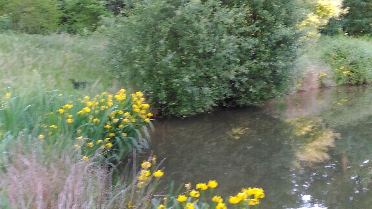 Photo of Outdoor in Degre