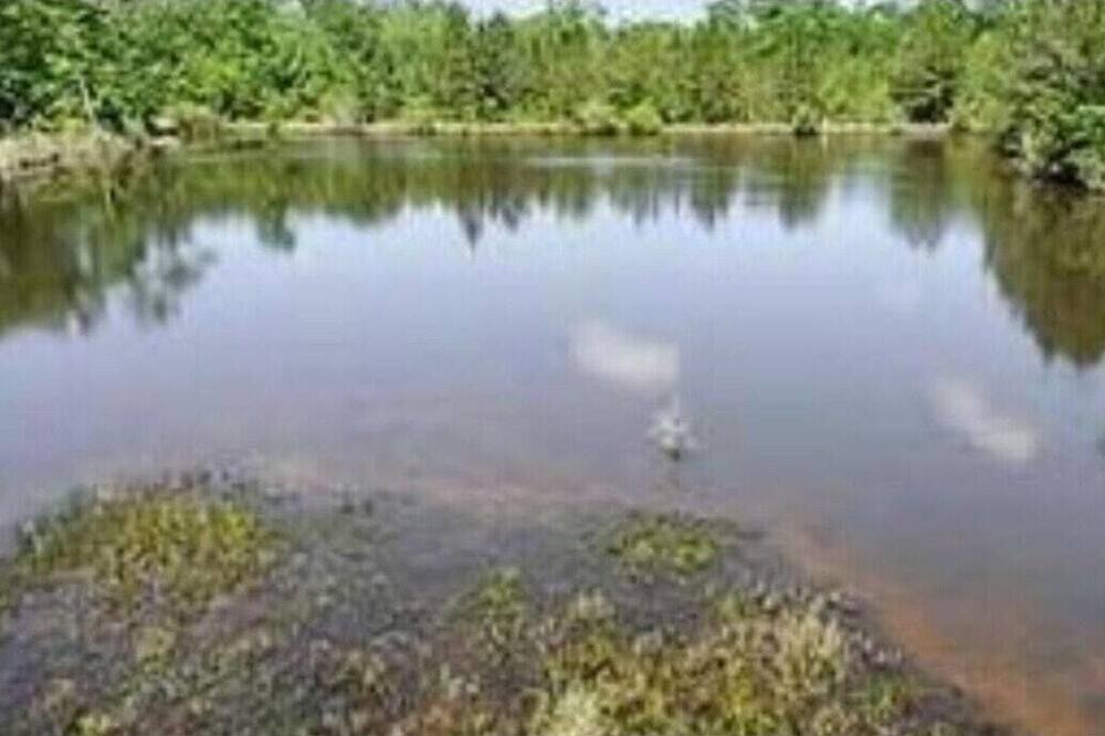 Photo of Others in Poplarville