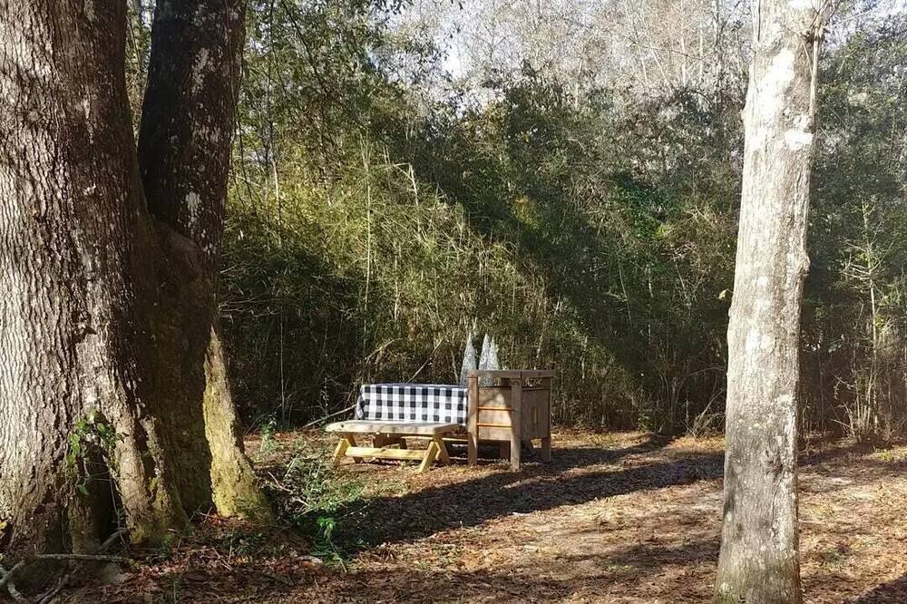 Photo of Others in Poplarville