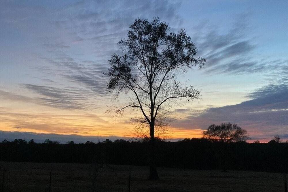 Photo of Others in Poplarville