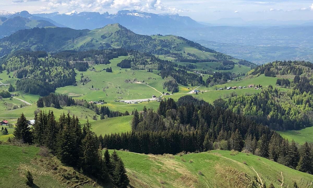 Photo of Others in Nangy