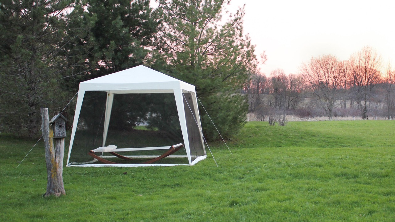 Photo of Outdoor in Loyalist