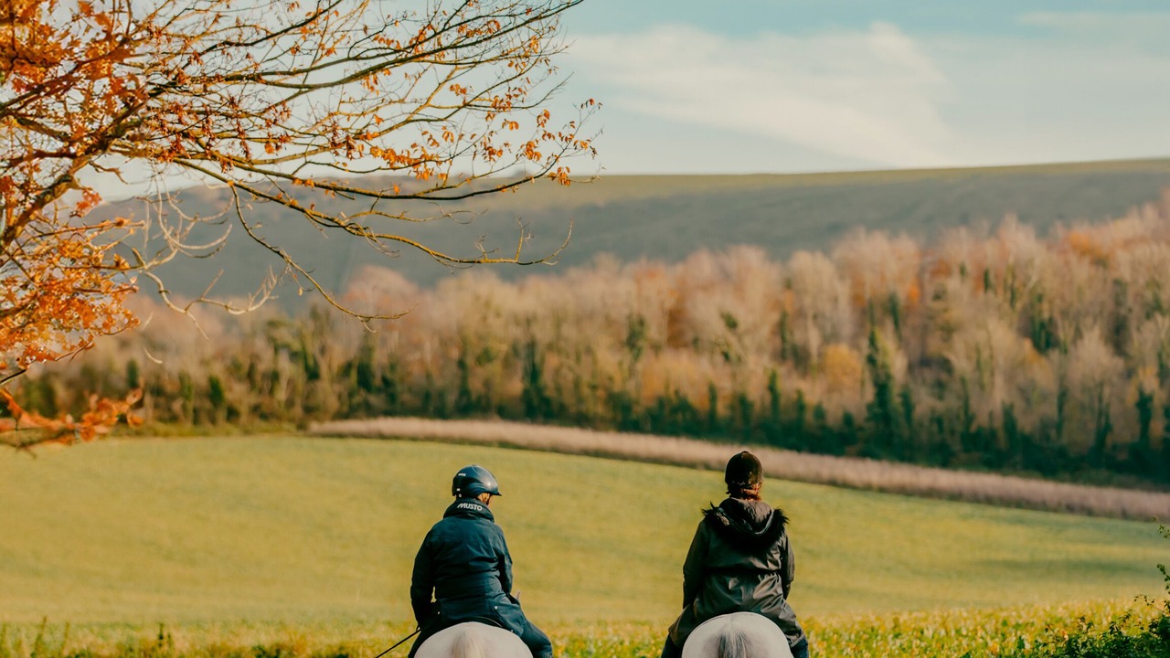 Photo of Bedroom in West Firle