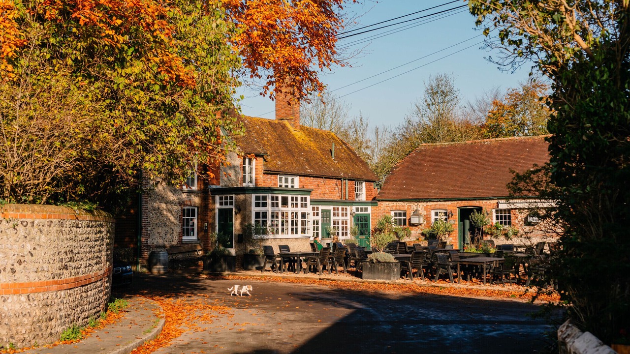 Photo of Outdoor in West Firle