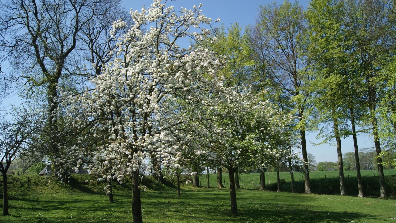 Photo of Others in Bretteville-du-Grand Caux