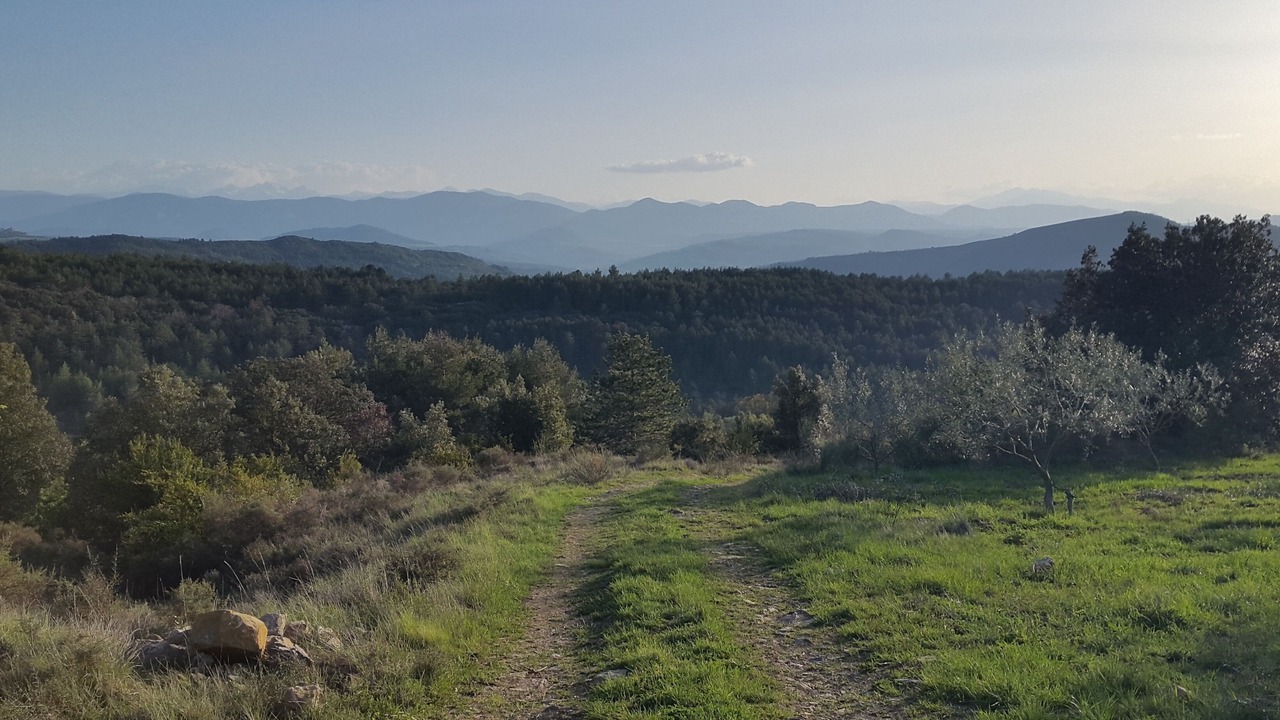 Photo of Outdoor in Luc-sur-Aude