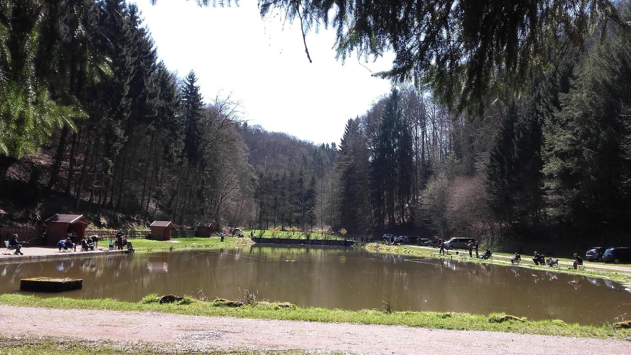 Photo of Outdoor in Hottviller