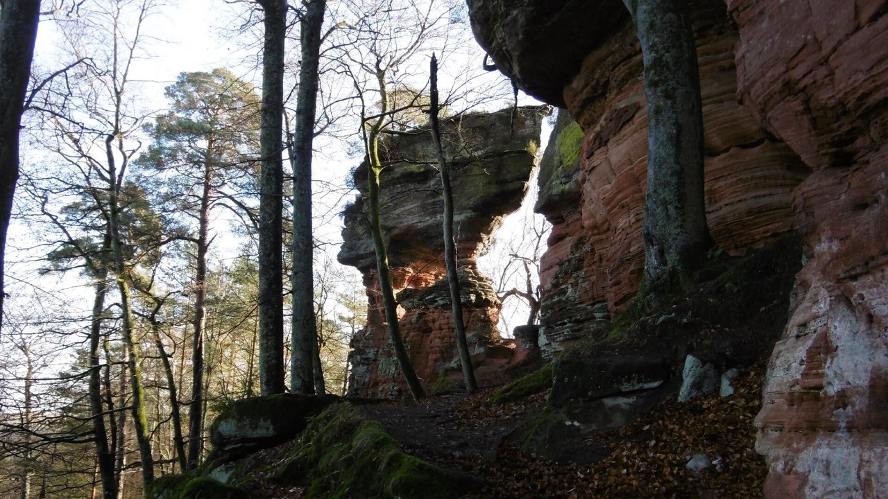 Photo of Outdoor in Hottviller