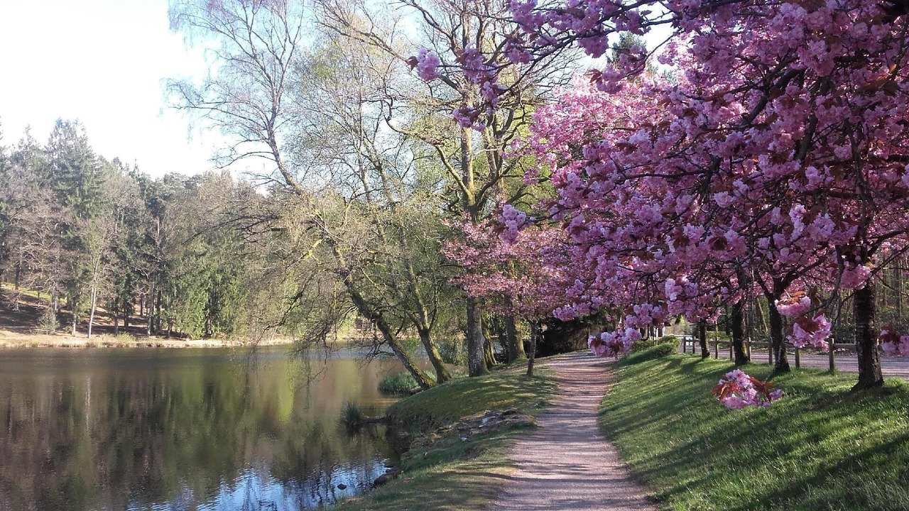 Photo of Outdoor in Hottviller