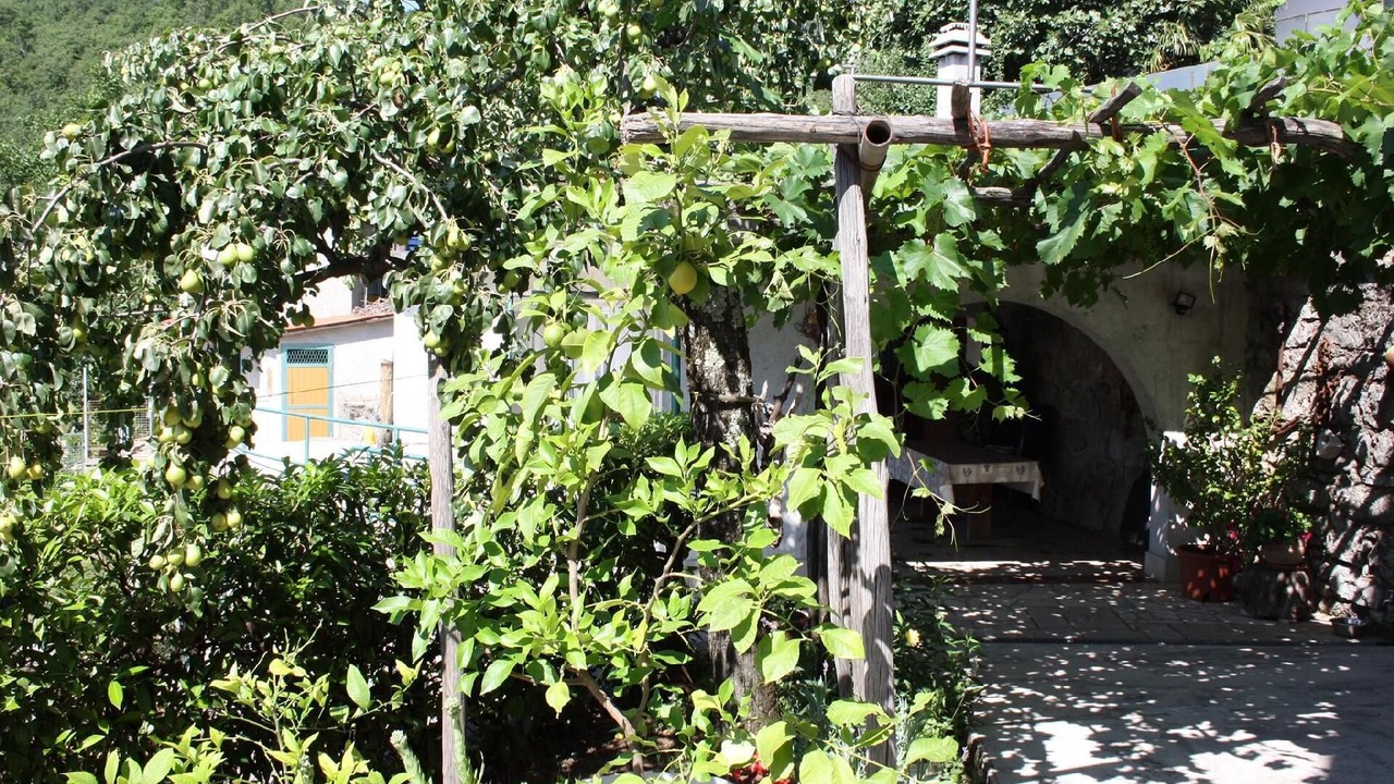 Photo of Outdoor in Pobri