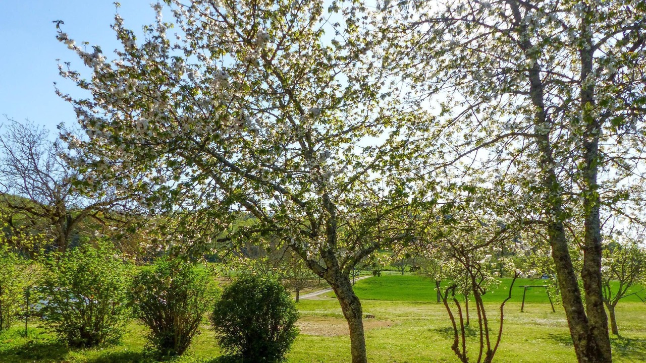 Photo of Outdoor in Sainte-Mondane