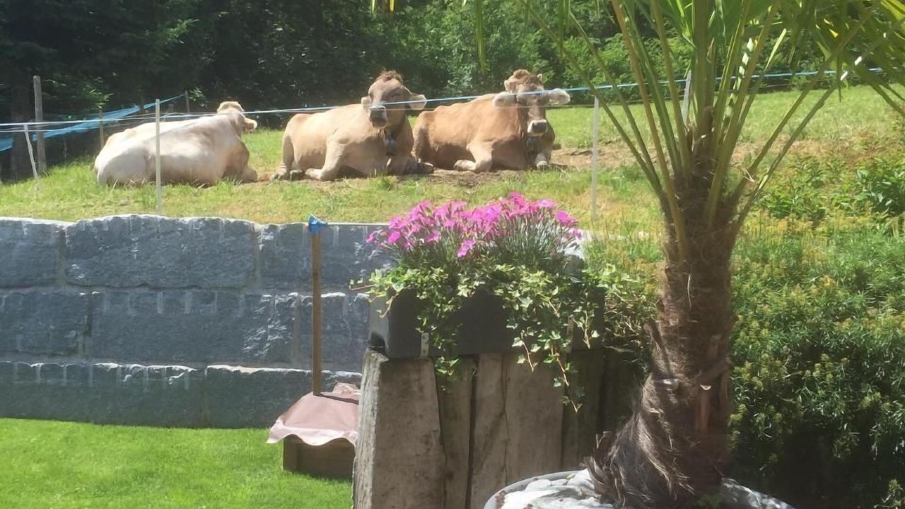Photo of Outdoor in Wattwil