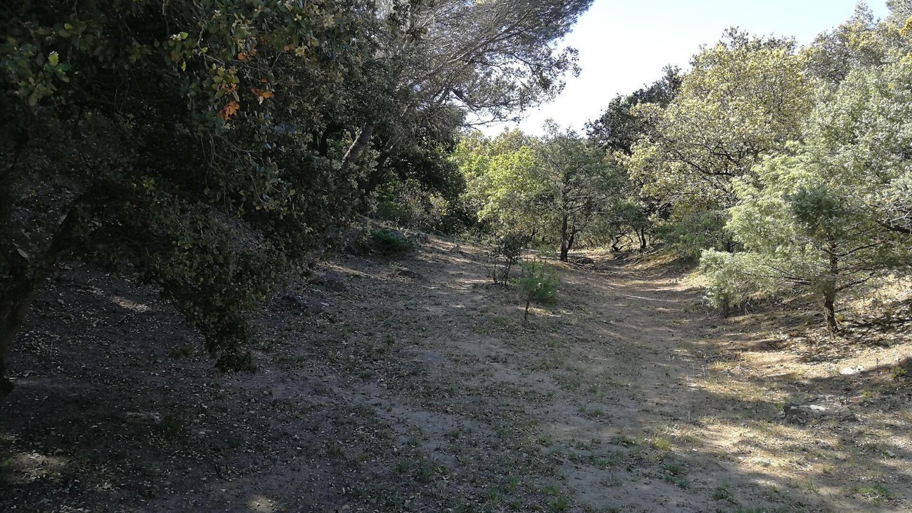 Photo of Outdoor in Chamaret