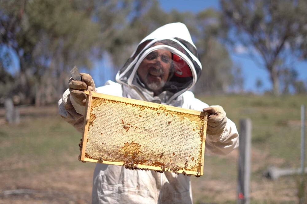 Photo of Others in Windeyer