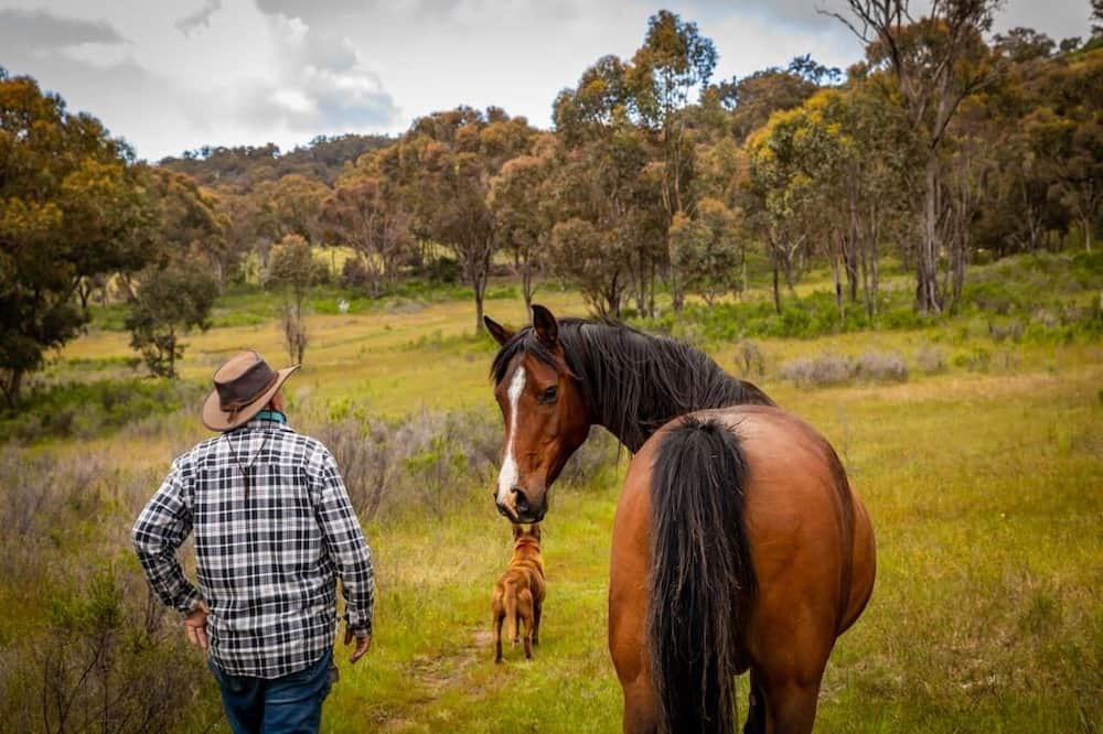 Photo of Others in Windeyer