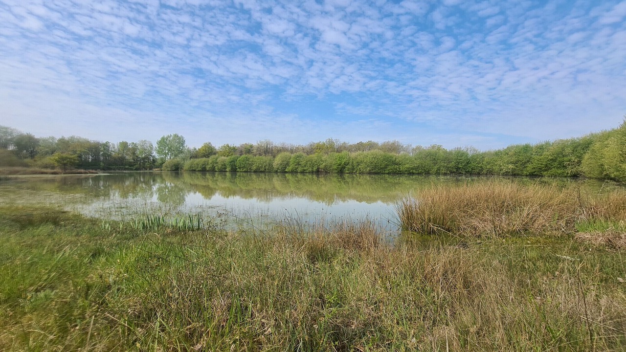 Photo of Outdoor in Linge