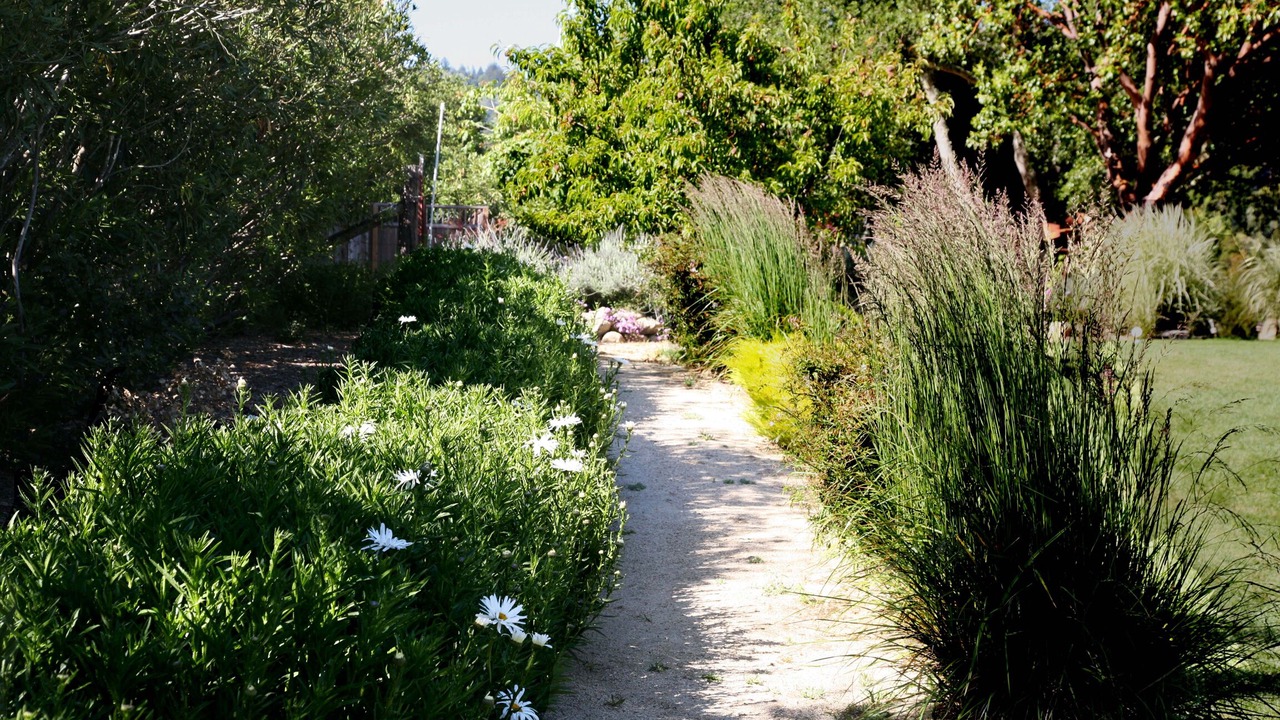 Photo of Outdoor in Los Gatos