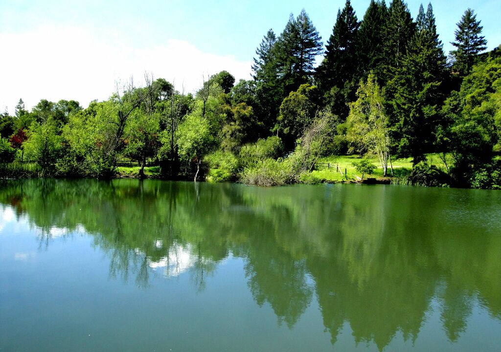 Photo of Outdoor in Los Gatos