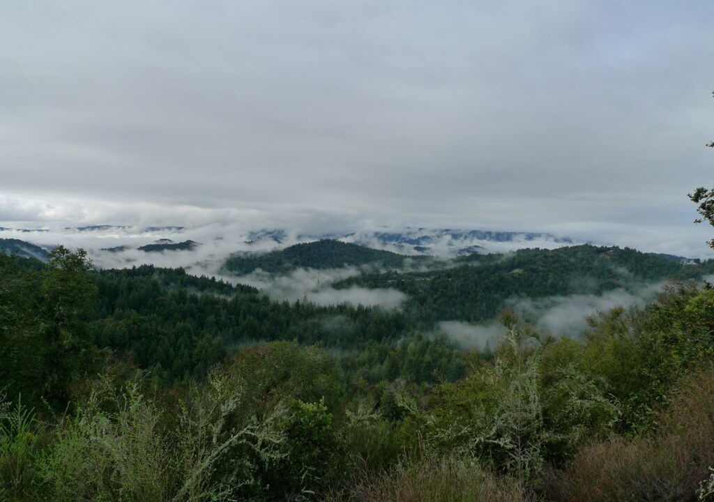 Photo of Others in Los Gatos