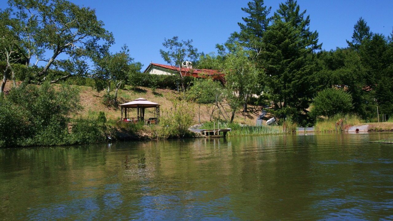 Photo of Outdoor in Los Gatos