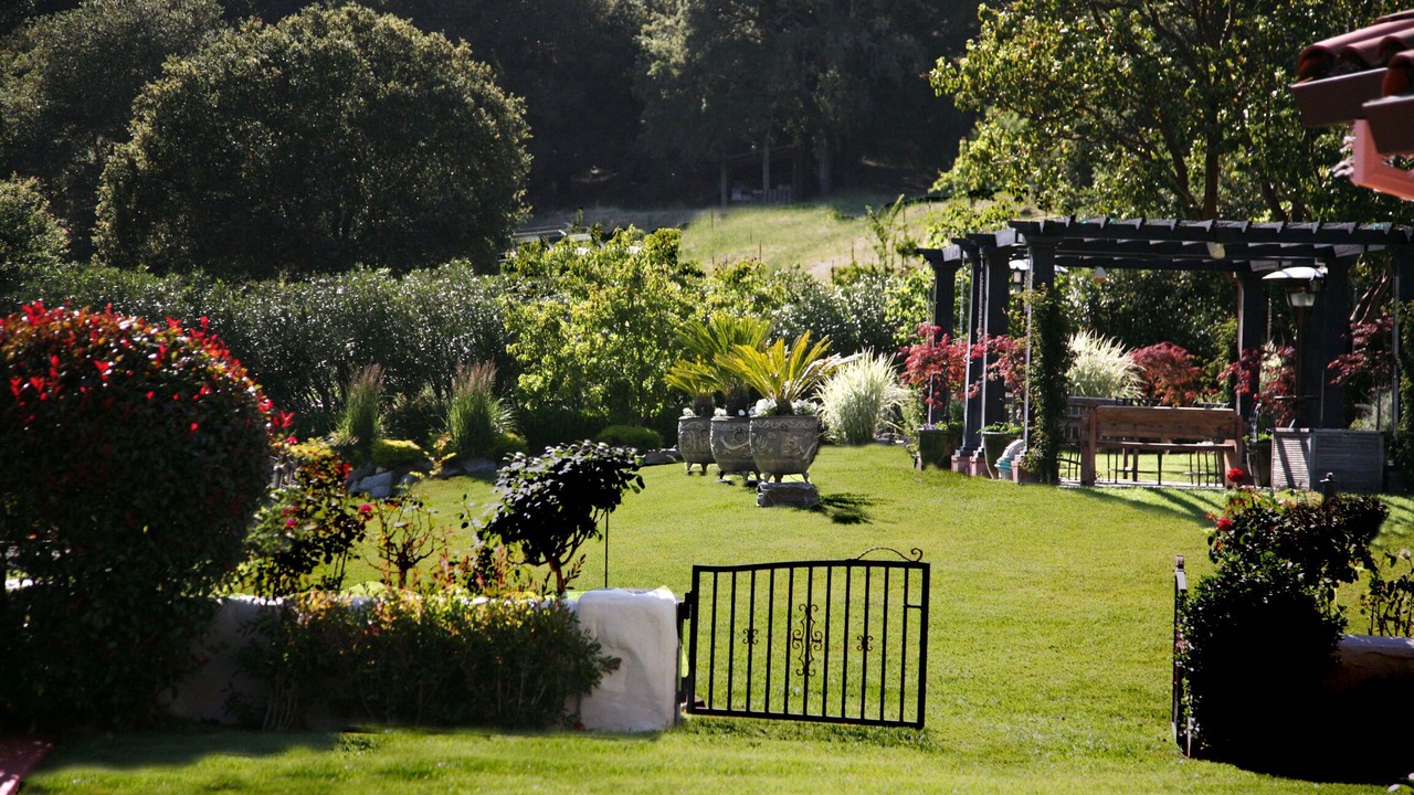 Photo of Outdoor in Los Gatos