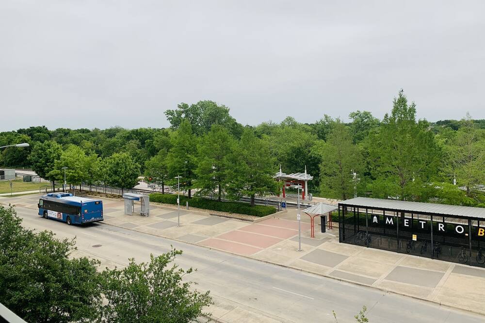 Photo of Others in Chestnut