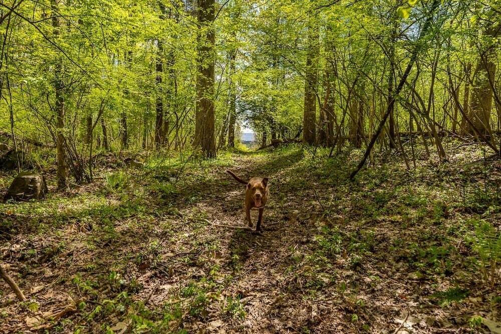 Photo of Others in Great Barrington