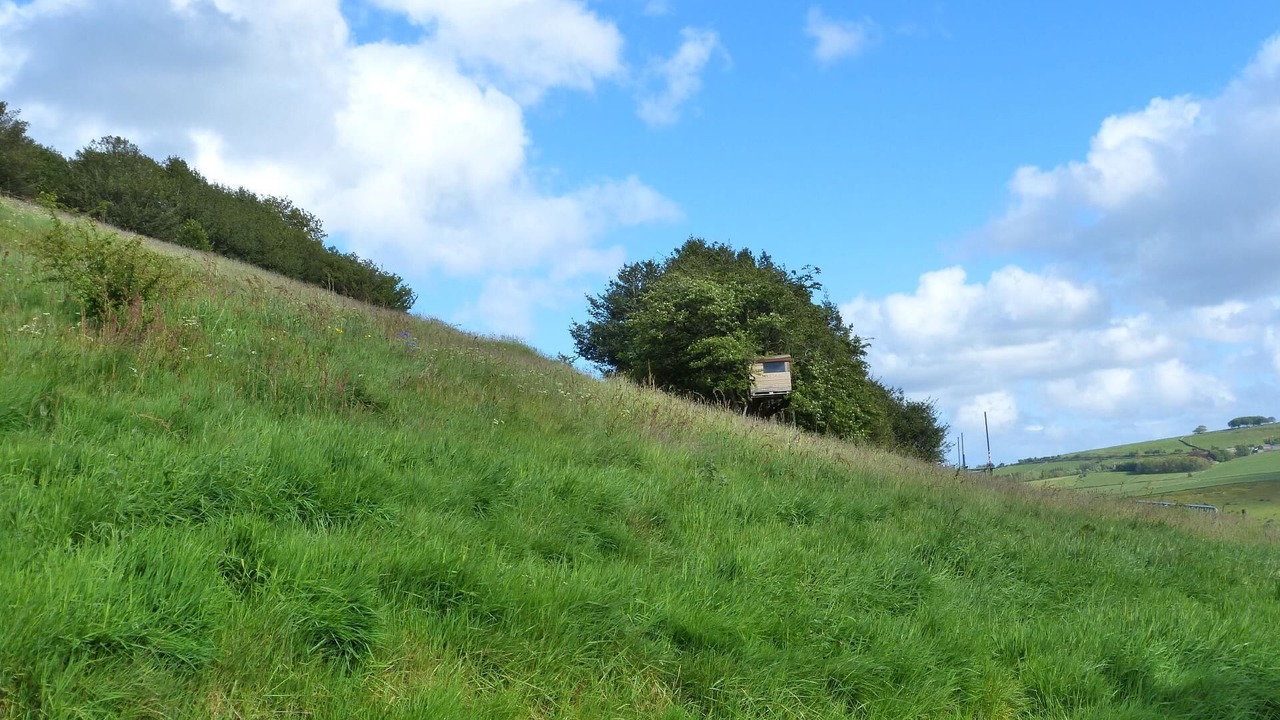 Photo of Others in Ainley Top