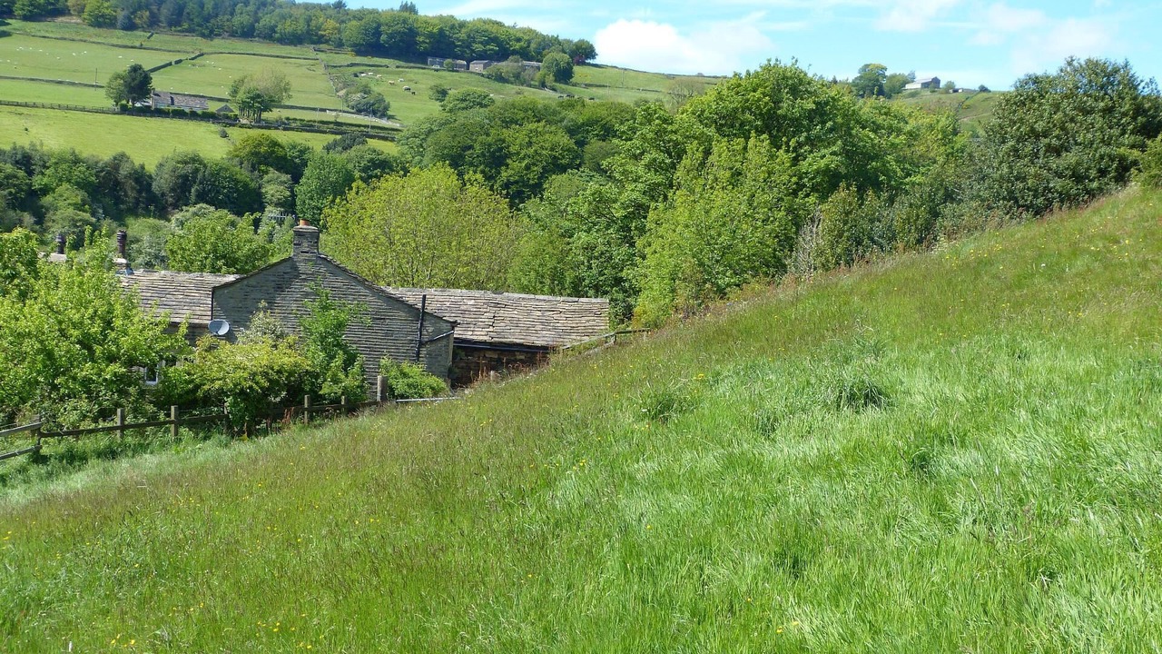 Photo of Others in Ainley Top