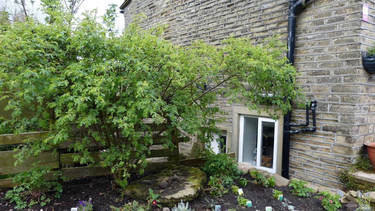 Photo of Outdoor in Ainley Top