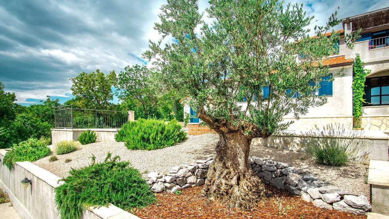Photo of Outdoor in Smrika