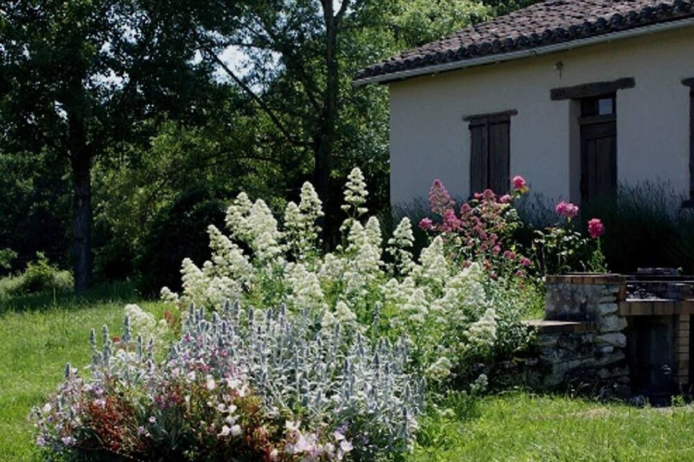 Photo of Outdoor in Castelnau-Montratier-Sainte-Alauzie