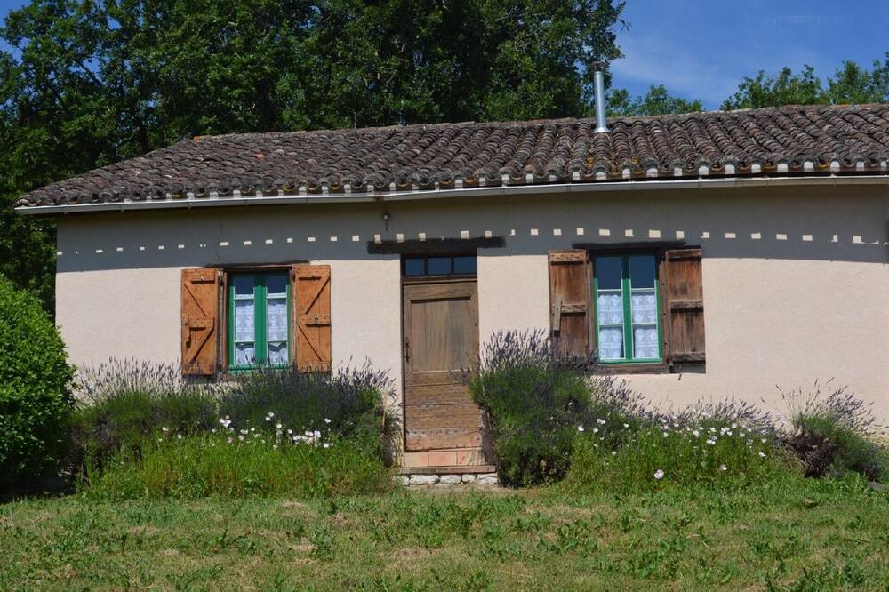 Photo of Outdoor in Castelnau-Montratier-Sainte-Alauzie