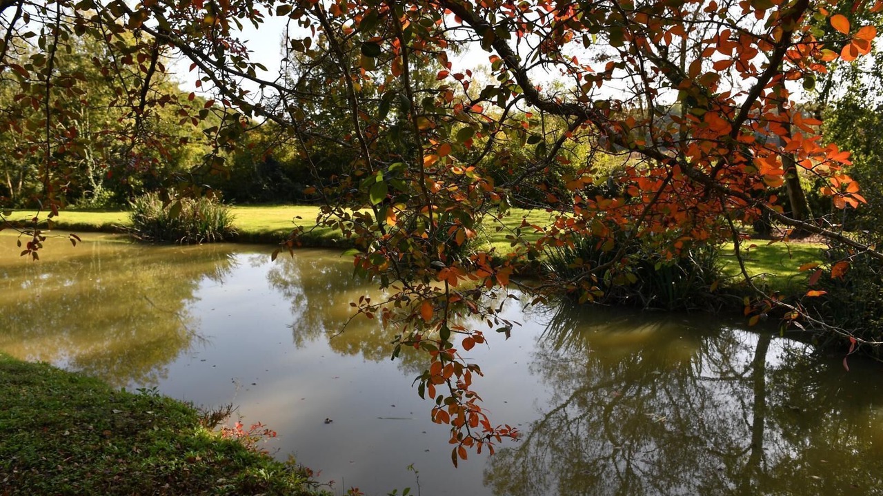 Photo of Outdoor in Aubous