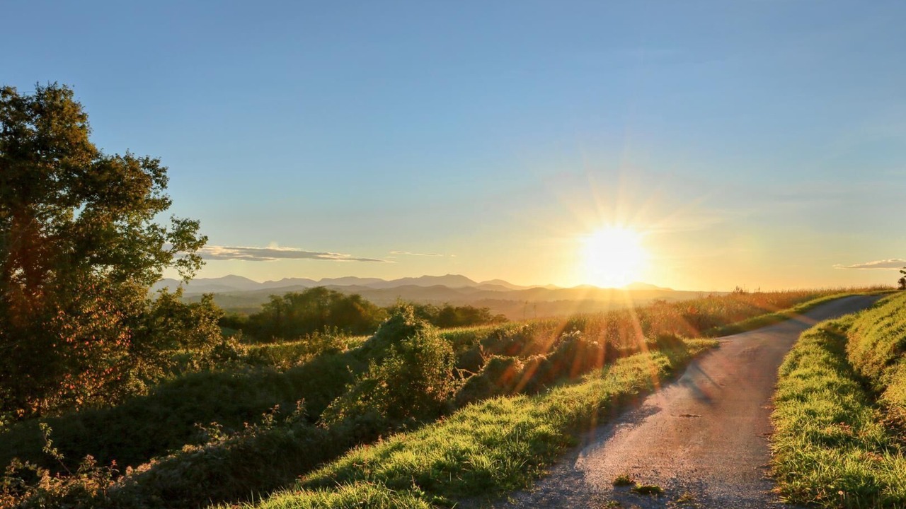 Photo of Others in Arbouet-Sussaute