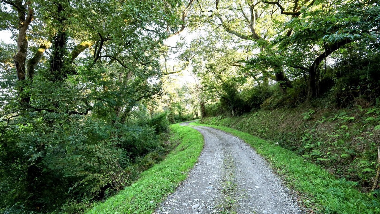 Photo of Others in Arbouet-Sussaute