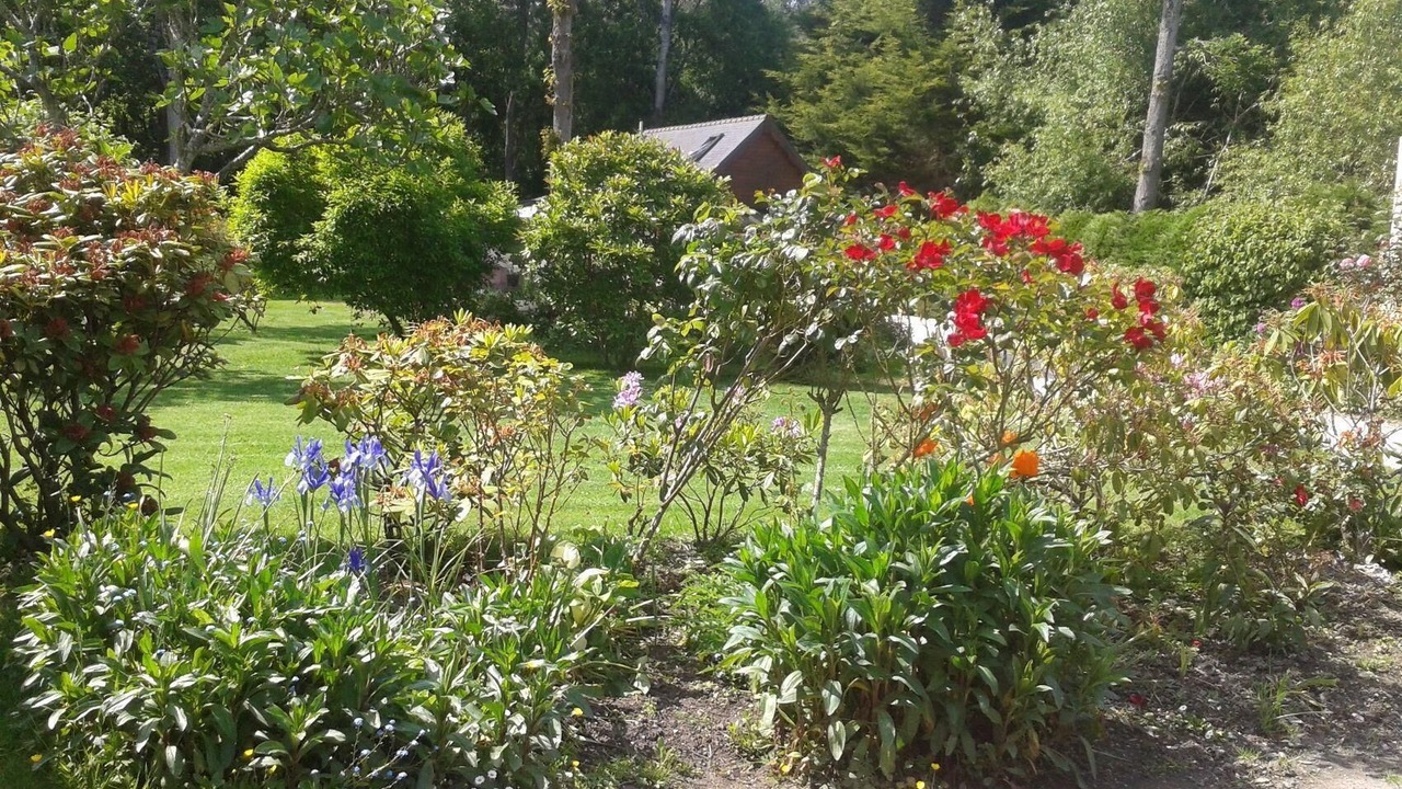 Photo of Outdoor in Plourivo