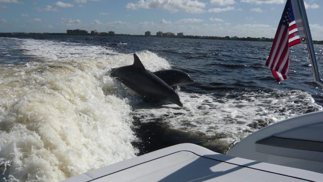 Photo of Others in Cape Coral