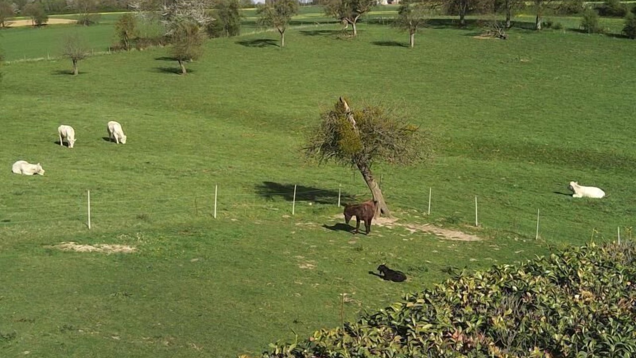 Photo of Outdoor in Oneux