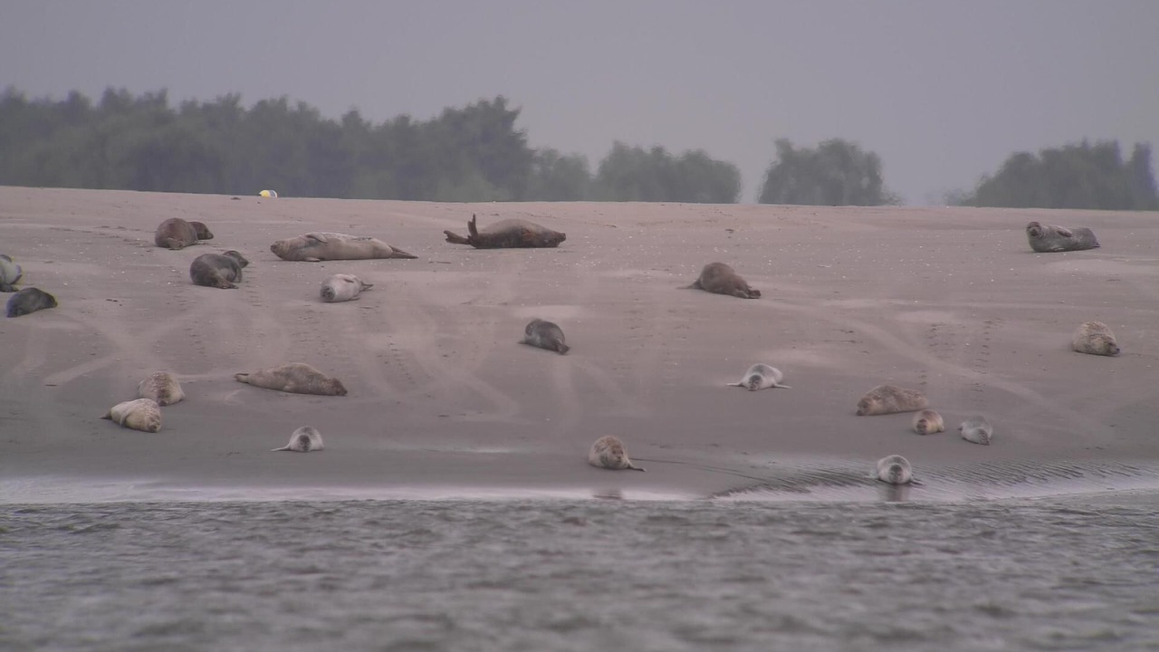 Photo of Others in Oneux