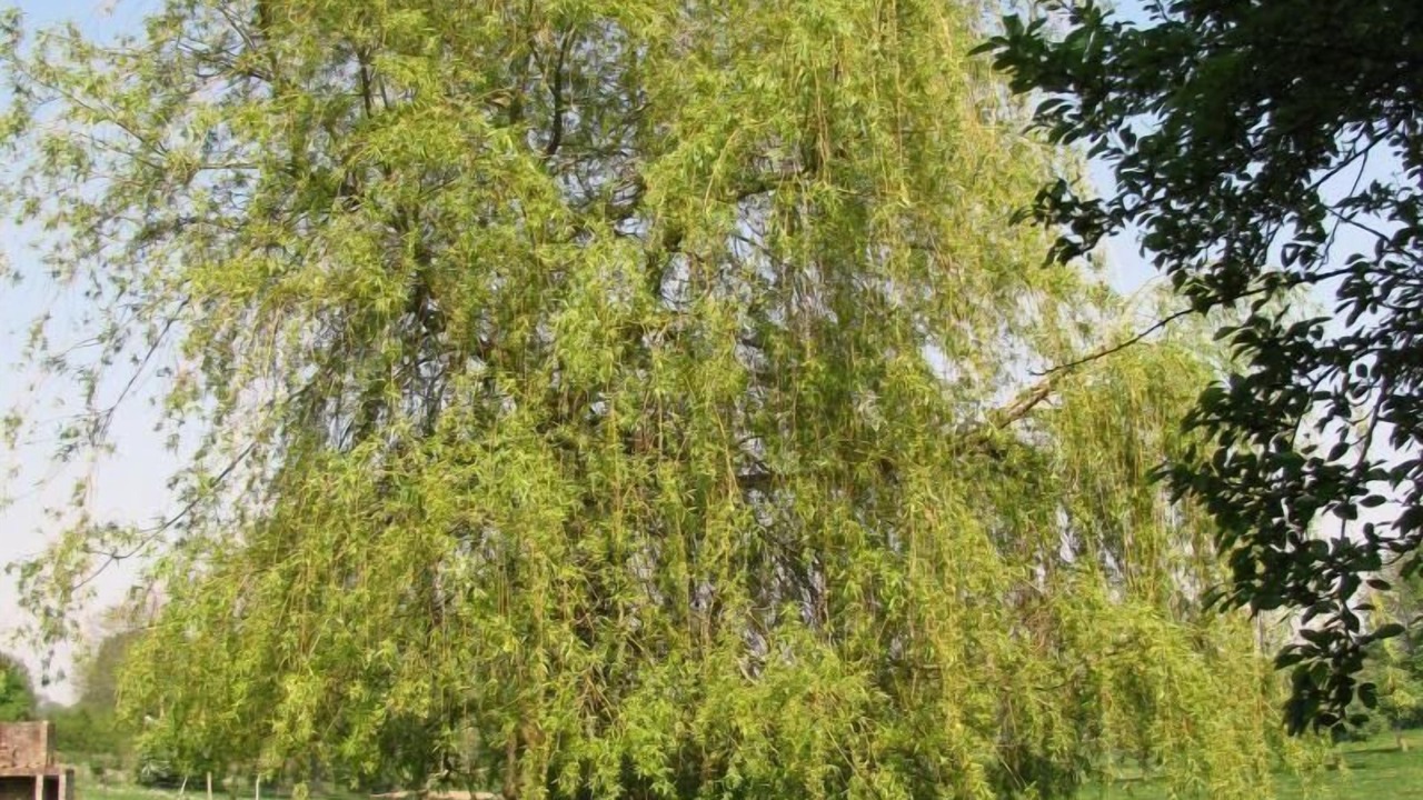 Photo of Others in Oneux