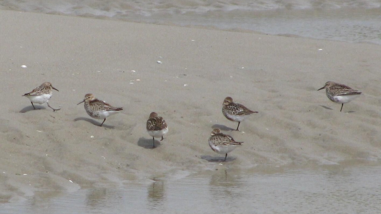 Photo of Others in Oneux