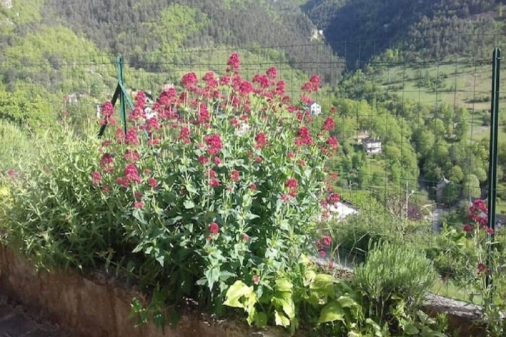 Photo of Outdoor in Le Rozier