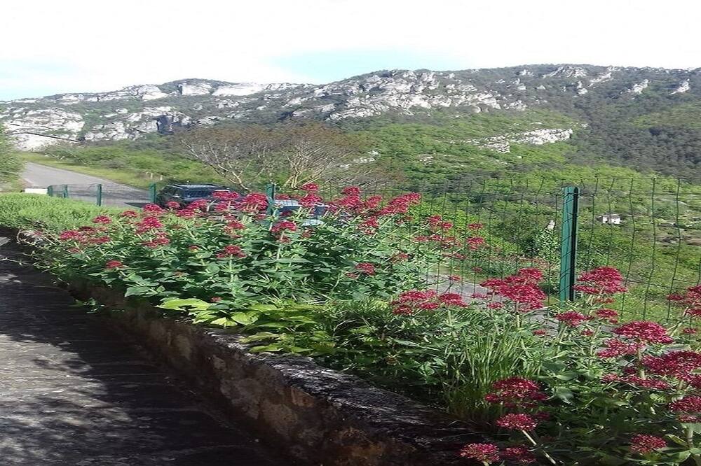 Photo of Outdoor in Le Rozier