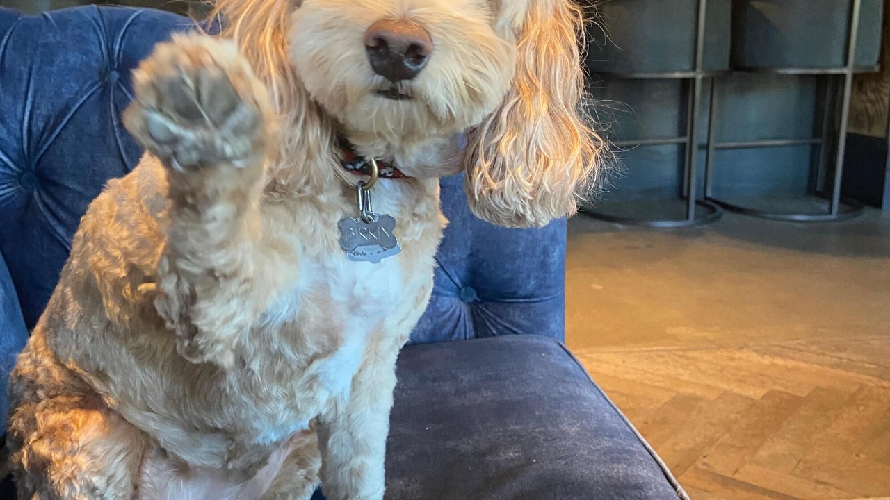 Photo of Others in Winter Park